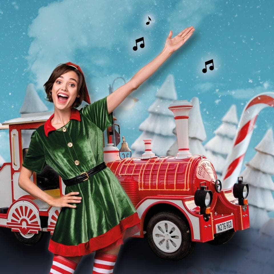 Sparkle Singing Festive Train Ride